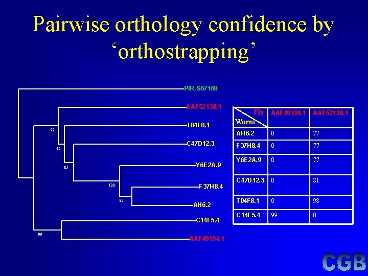 Pairwise orthology confidence by ‘orthostrapping’ PIR-S 67168 AAF 52138. 1 T 04 F 8. Pairwise orthology confidence by ‘orthostrapping’ PIR-S 67168 AAF 52138. 1 T 04 F 8.