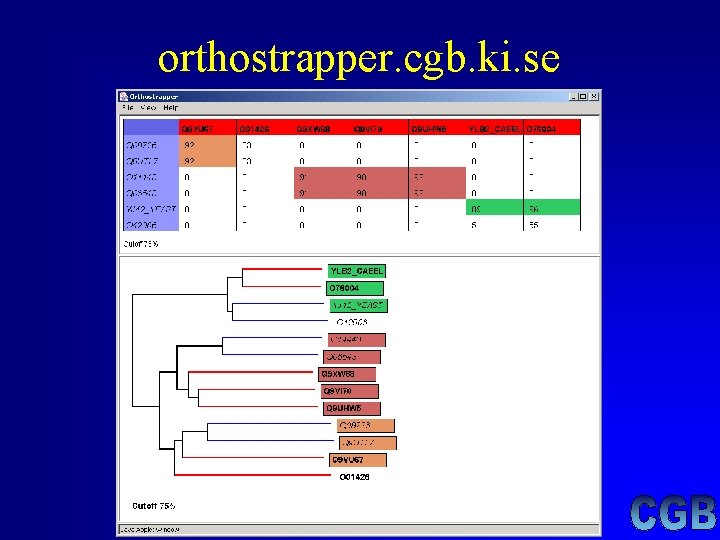 orthostrapper. cgb. ki. se orthostrapper. cgb. ki. se