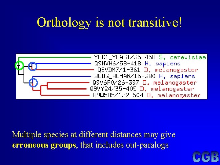 Orthology is not transitive! Multiple species at different distances may give erroneous groups, that Orthology is not transitive! Multiple species at different distances may give erroneous groups, that
