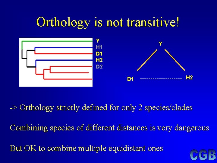Orthology is not transitive! Y H 1 D 1 H 2 D 2 Y Orthology is not transitive! Y H 1 D 1 H 2 D 2 Y