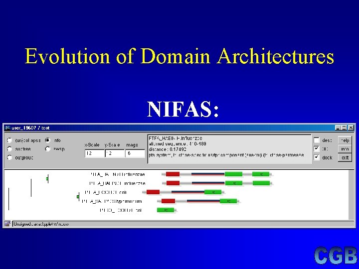 Evolution of Domain Architectures NIFAS: Evolution of Domain Architectures NIFAS: