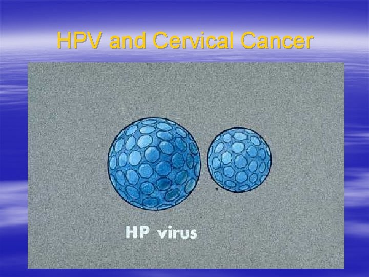 HPV and Cervical Cancer 