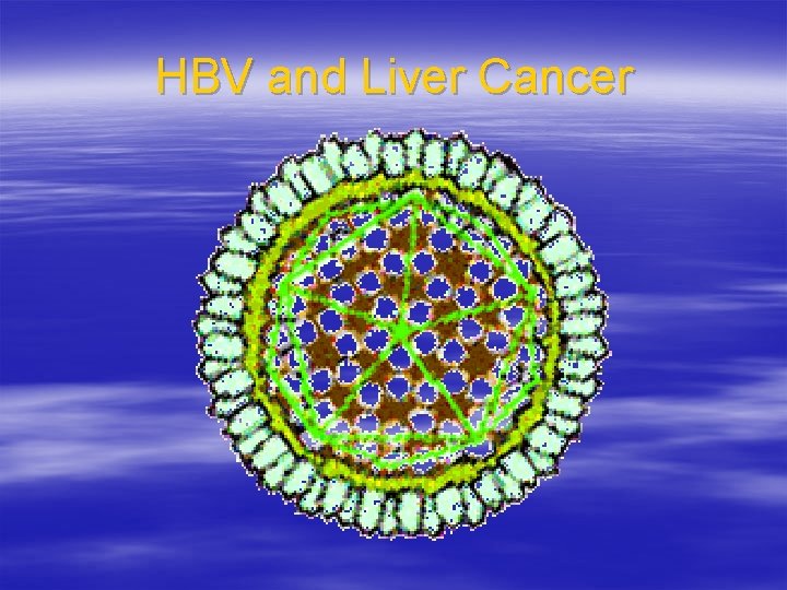 HBV and Liver Cancer 