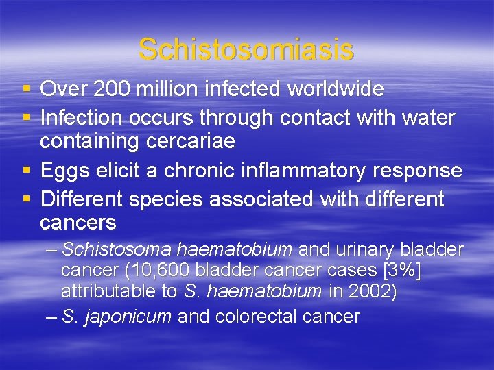 Schistosomiasis § Over 200 million infected worldwide § Infection occurs through contact with water