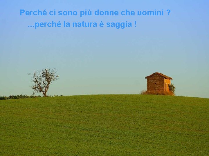 Perché ci sono più donne che uomini ? . . . perché la natura