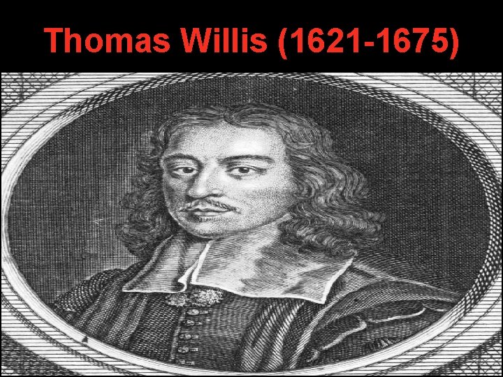 Thomas Willis (1621 -1675) Thomas Willis (1621 -1675)