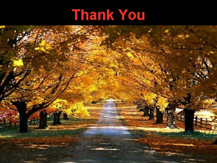 Thank You Thank You