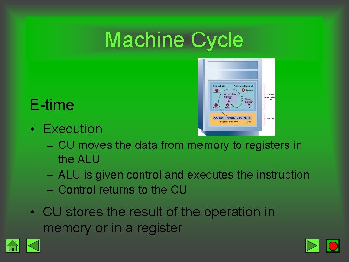 Machine Cycle E-time • Execution – CU moves the data from memory to registers