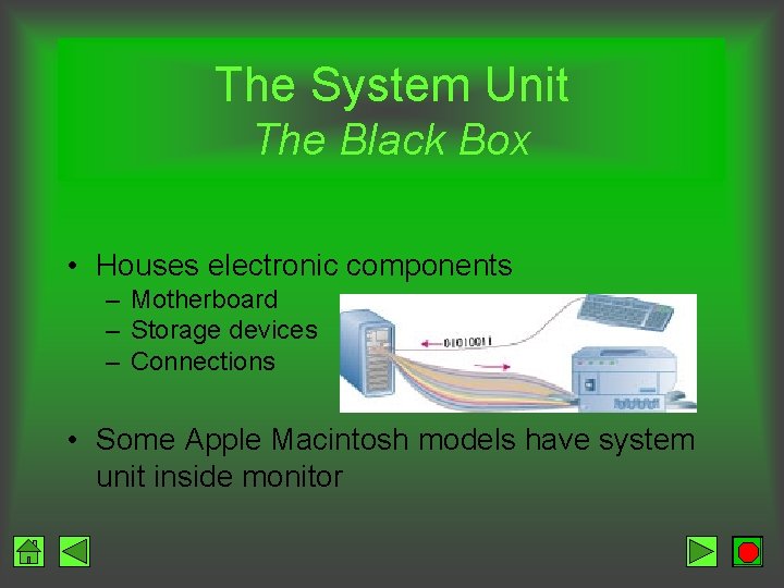 The System Unit The Black Box • Houses electronic components – Motherboard – Storage