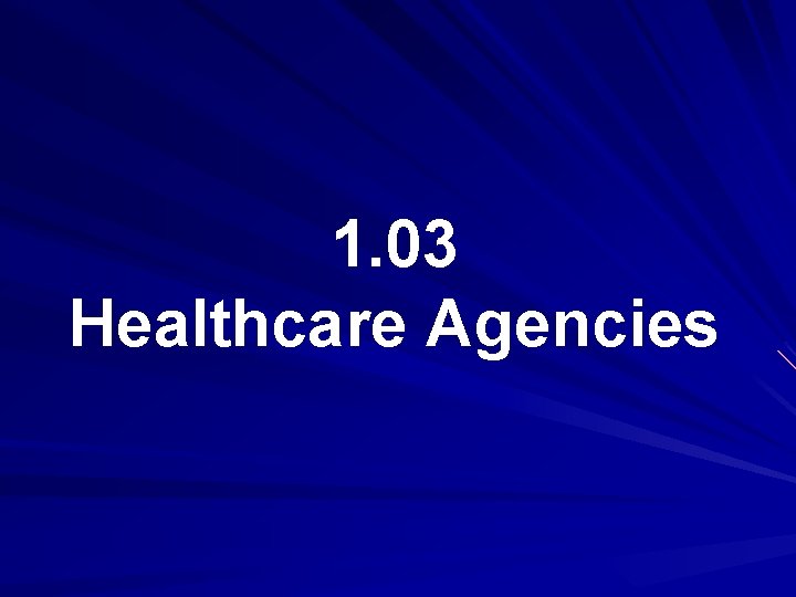 1. 03 Healthcare Agencies 