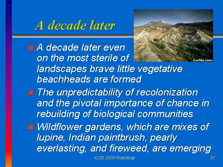 A decade later even on the most sterile of landscapes brave little vegetative beachheads