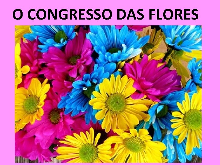 O CONGRESSO DAS FLORES 