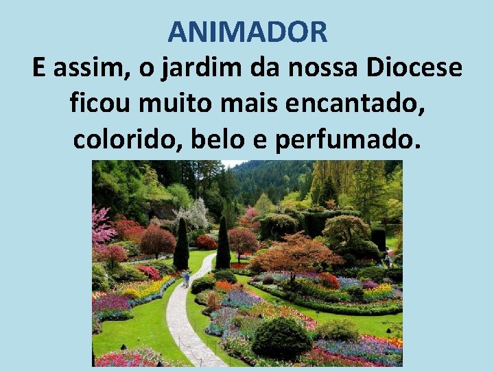 ANIMADOR E assim, o jardim da nossa Diocese ficou muito mais encantado, colorido, belo