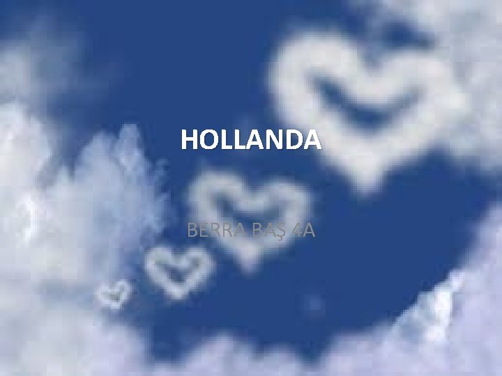 HOLLANDA BERRA BAŞ 4 A 