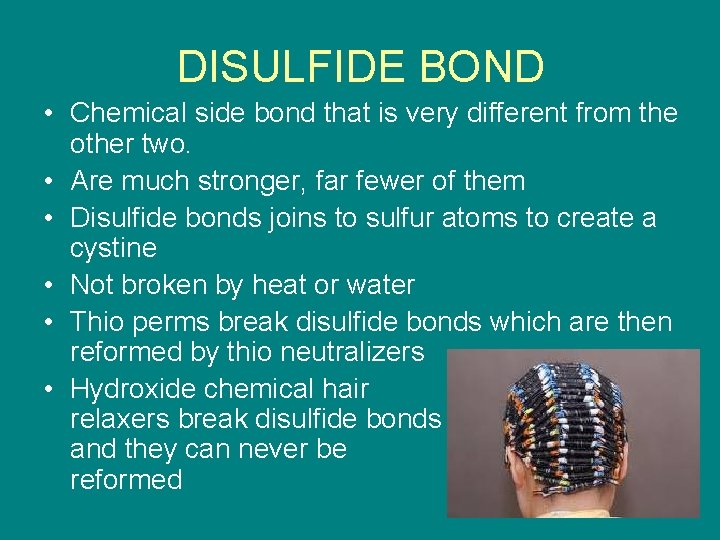 DISULFIDE BOND • Chemical side bond that is very different from the other two.