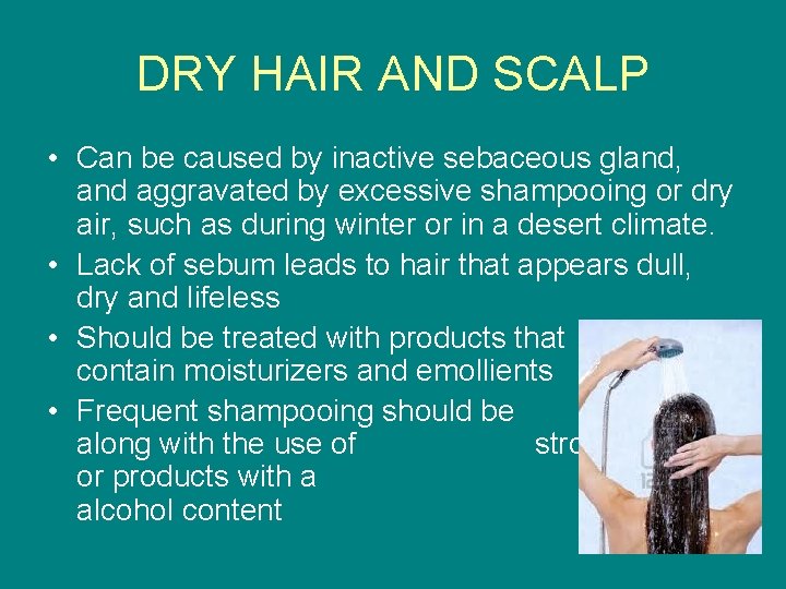DRY HAIR AND SCALP • Can be caused by inactive sebaceous gland, and aggravated