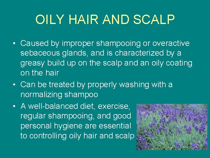 OILY HAIR AND SCALP • Caused by improper shampooing or overactive sebaceous glands, and