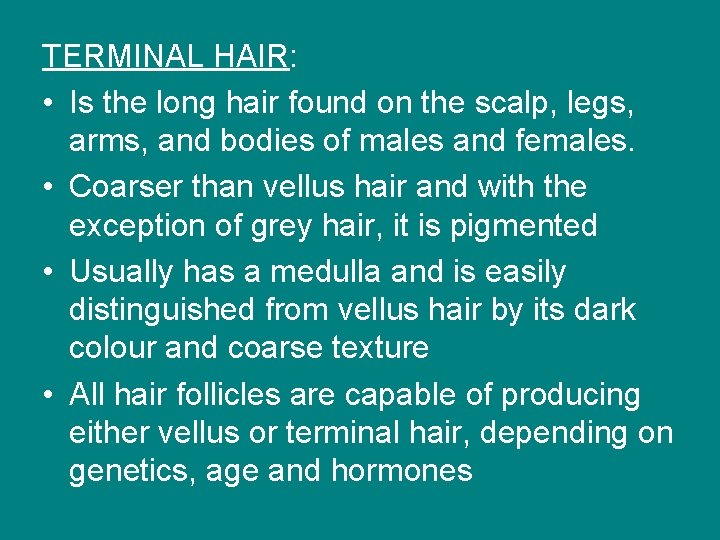TERMINAL HAIR: • Is the long hair found on the scalp, legs, arms, and