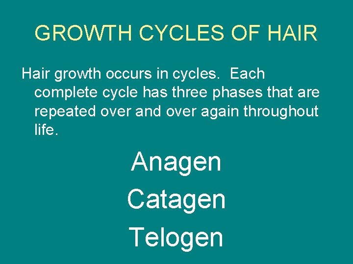 GROWTH CYCLES OF HAIR Hair growth occurs in cycles. Each complete cycle has three