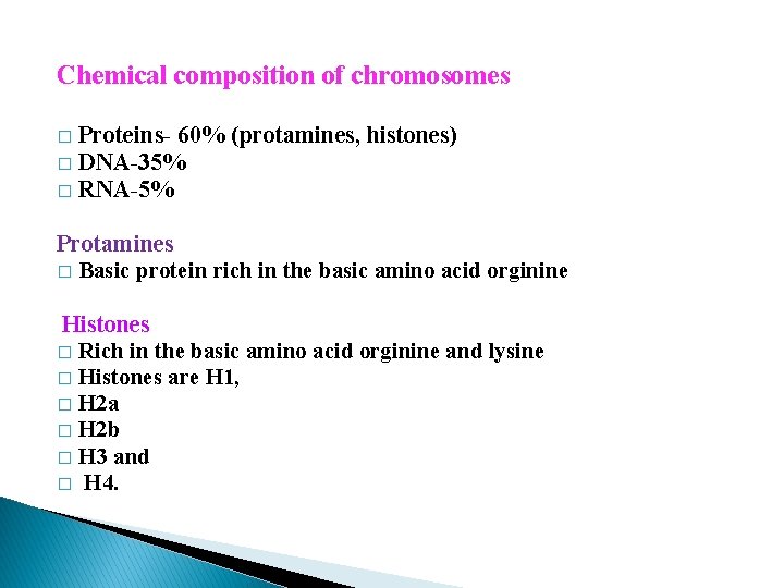 Chemical composition of chromosomes Proteins- 60% (protamines, histones) � DNA-35% � RNA-5% � Protamines