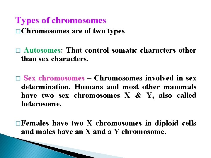 Types of chromosomes � Chromosomes are of two types � Autosomes: That control somatic