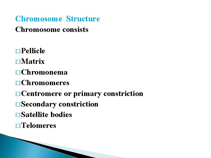 Chromosome Structure Chromosome consists � Pellicle � Matrix � Chromonema � Chromomeres � Centromere