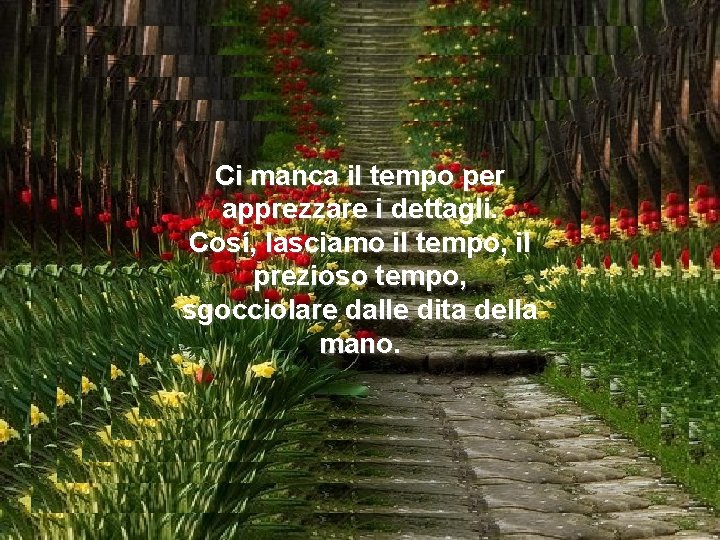 Ci manca il tempo per apprezzare i dettagli. Cosí, lasciamo il tempo, il prezioso