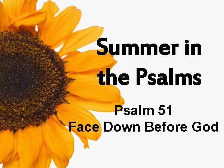 Summer in the Psalms Psalm 51 Face Down Before God 