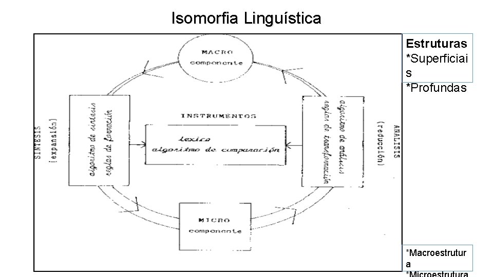 Isomorfia Linguística Estruturas *Superficiai s *Profundas *Macroestrutur a 