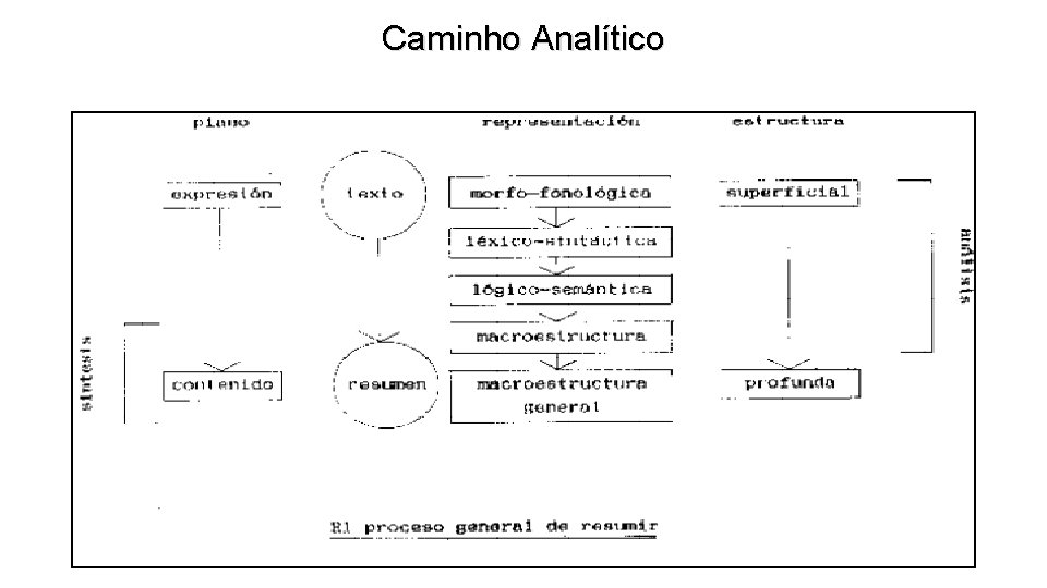 Caminho Analítico 