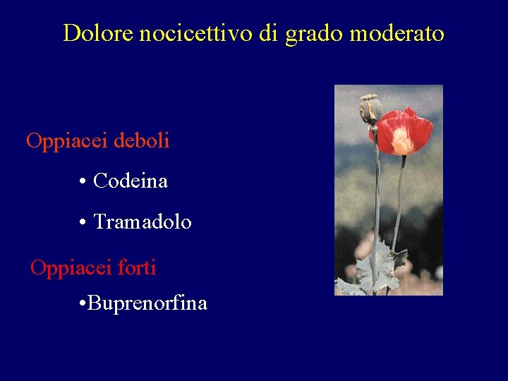 Dolore nocicettivo di grado moderato Oppiacei deboli • Codeina • Tramadolo Oppiacei forti • Dolore nocicettivo di grado moderato Oppiacei deboli • Codeina • Tramadolo Oppiacei forti •
