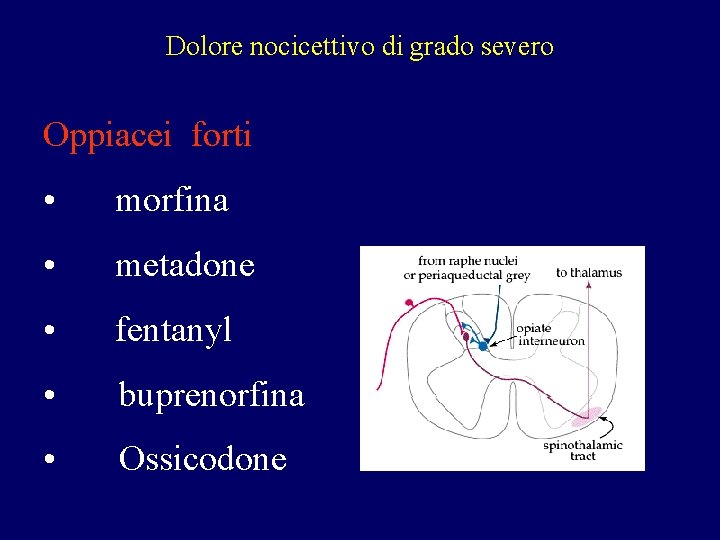 Dolore nocicettivo di grado severo Oppiacei forti • morfina • metadone • fentanyl • Dolore nocicettivo di grado severo Oppiacei forti • morfina • metadone • fentanyl •