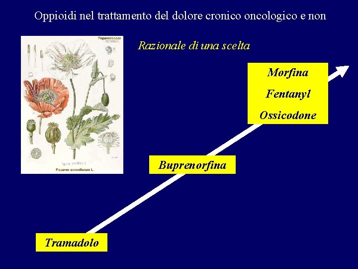Oppioidi nel trattamento del dolore cronico oncologico e non Razionale di una scelta Morfina Oppioidi nel trattamento del dolore cronico oncologico e non Razionale di una scelta Morfina
