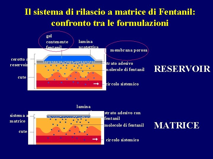 Il sistema di rilascio a matrice di Fentanil: confronto tra le formulazioni gel contenente Il sistema di rilascio a matrice di Fentanil: confronto tra le formulazioni gel contenente