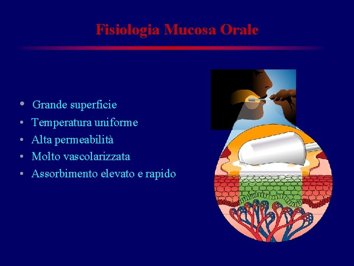 Fisiologia Mucosa Orale • Grande superficie • • Temperatura uniforme Alta permeabilità Molto vascolarizzata Fisiologia Mucosa Orale • Grande superficie • • Temperatura uniforme Alta permeabilità Molto vascolarizzata