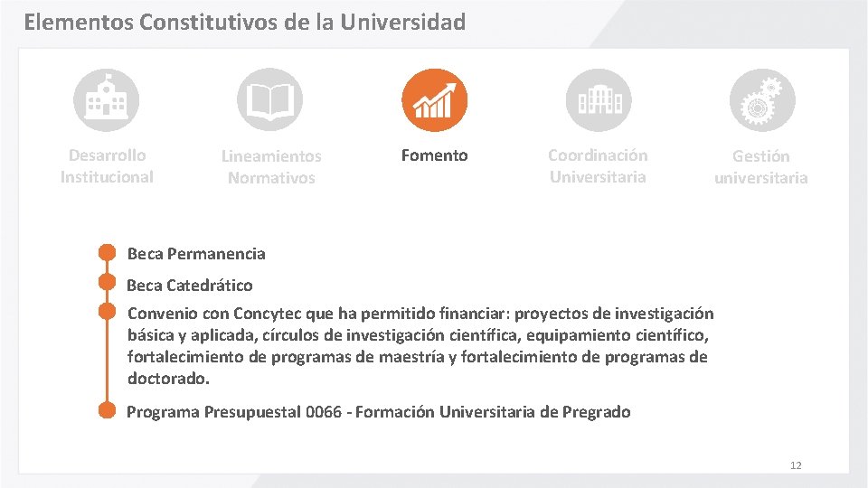 Elementos Constitutivos de la Universidad Desarrollo Institucional Lineamientos Normativos Fomento Coordinación Universitaria Gestión universitaria