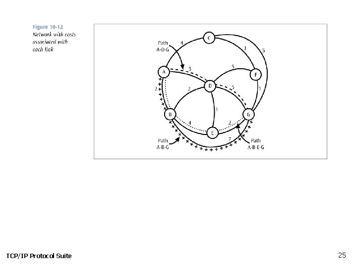 TCP/IP Protocol Suite 25 