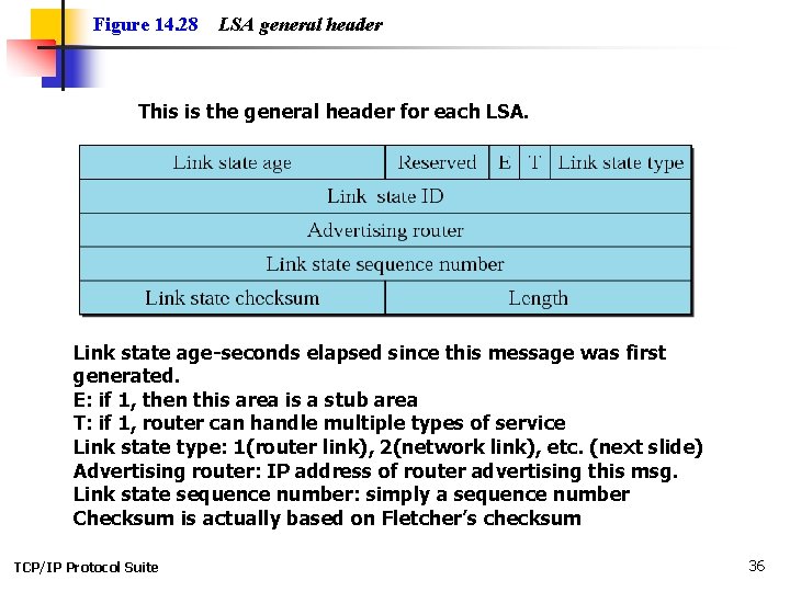 Figure 14. 28 LSA general header This is the general header for each LSA.