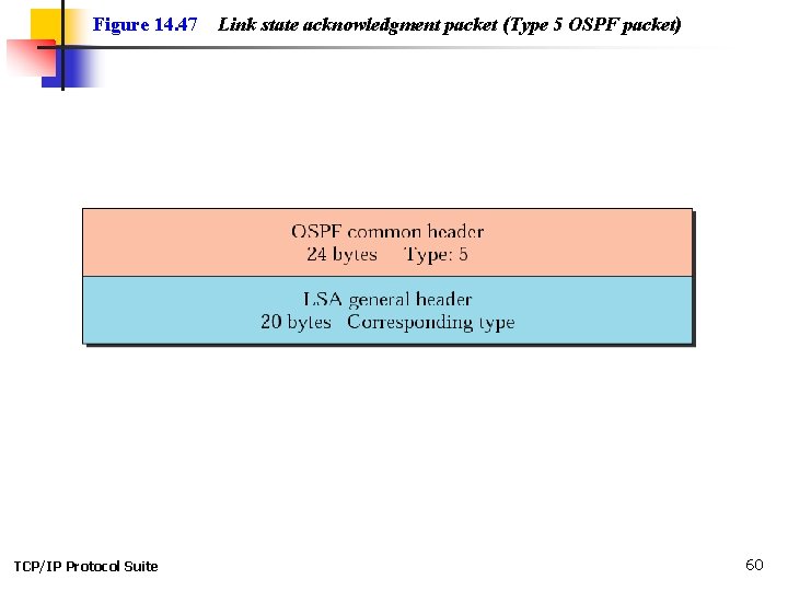 Figure 14. 47 TCP/IP Protocol Suite Link state acknowledgment packet (Type 5 OSPF packet)