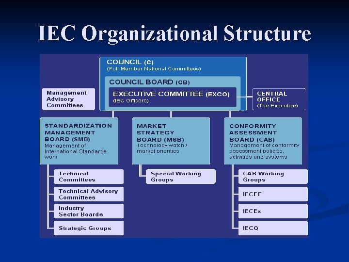 IEC Organizational Structure 