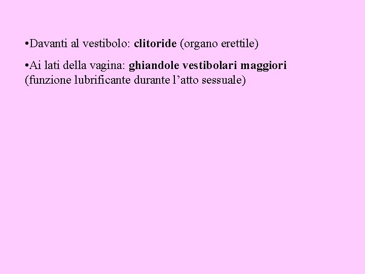  • Davanti al vestibolo: clitoride (organo erettile) • Ai lati della vagina: ghiandole