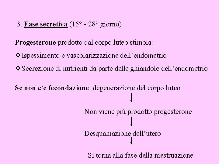 3. Fase secretiva (15° - 28° giorno) Progesterone prodotto dal corpo luteo stimola: v.