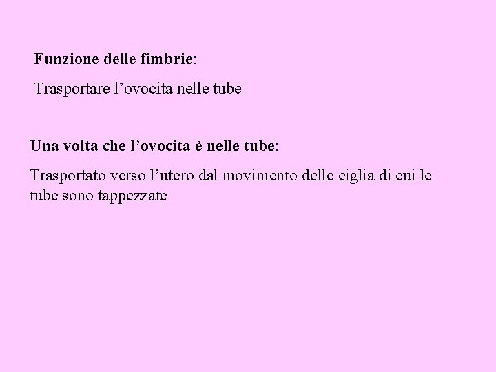 Funzione delle fimbrie: Trasportare l’ovocita nelle tube Una volta che l’ovocita è nelle tube: