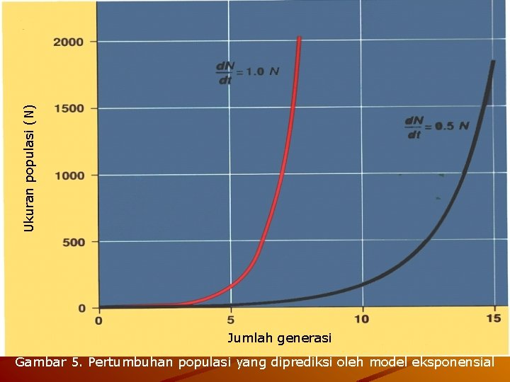 Ukuran populasi (N) Jumlah generasi Gambar 5. Pertumbuhan populasi yang diprediksi oleh model eksponensial