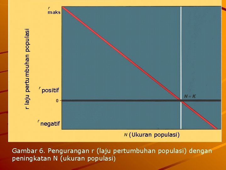 r laju pertumbuhan populasi maks positif negatif (Ukuran populasi) Gambar 6. Pengurangan r (laju r laju pertumbuhan populasi maks positif negatif (Ukuran populasi) Gambar 6. Pengurangan r (laju