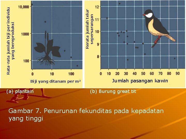 Rerata jumlah telur sepersarangan Rata-rata jumlah biji per individu yang bereproduksi Biji yang ditanam