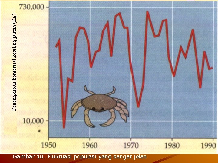 Penangkapan komersial kepiting jantan (Kg) Gambar 10. Fluktuasi populasi yang sangat jelas 
