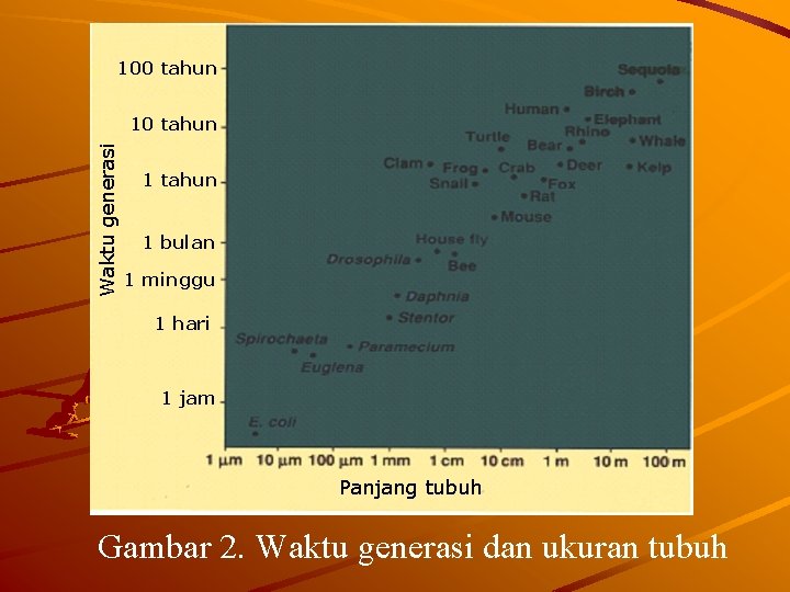 100 tahun Waktu generasi 10 tahun 1 bulan 1 minggu 1 hari 1 jam