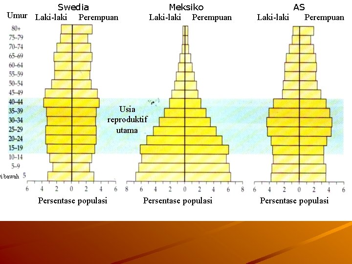 Swedia Umur Laki-laki Perempuan Meksiko Laki-laki Perempuan AS Laki-laki Perempuan Usia reproduktif utama Di