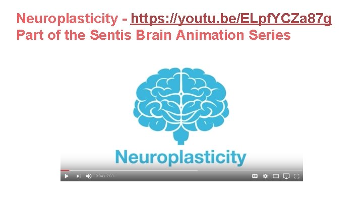 Neuroplasticity - https: //youtu. be/ELpf. YCZa 87 g Part of the Sentis Brain Animation